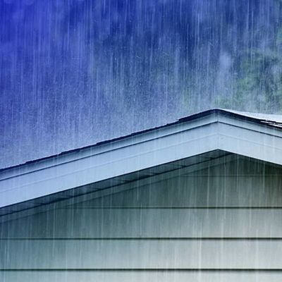 آلية مقاومة الطقس للبوليسبارتيك