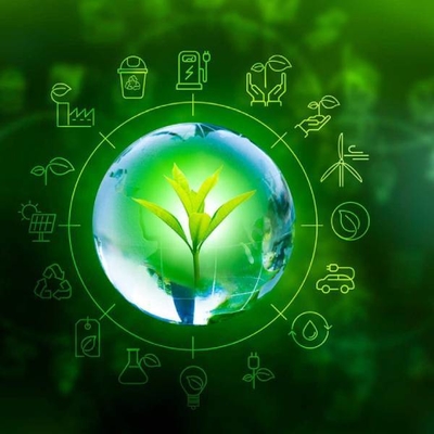 راتنج استر (PAE) المستند إلى Bio
